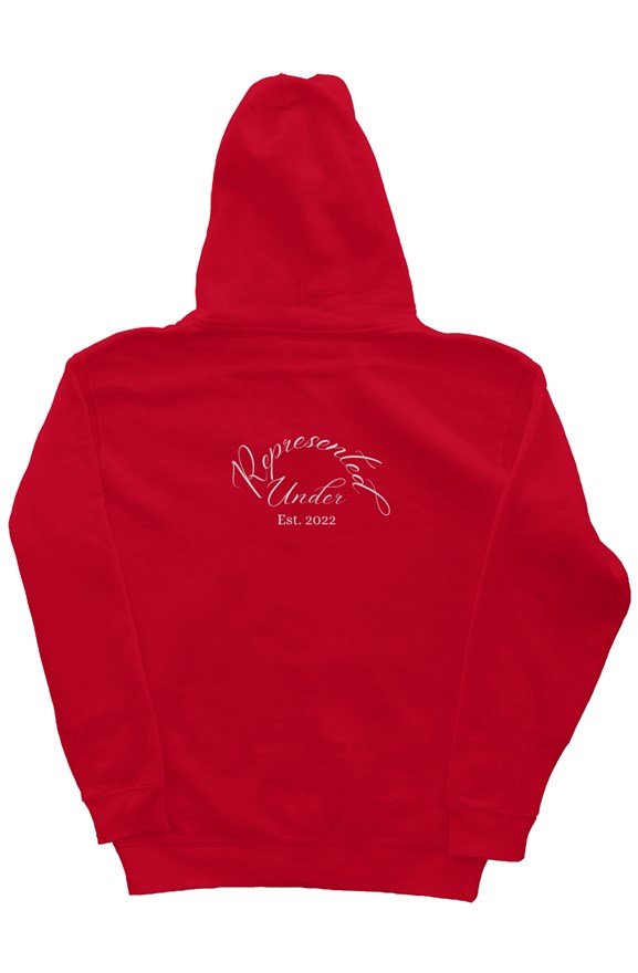 I'm Not Just A Statistic hoodie (Red)